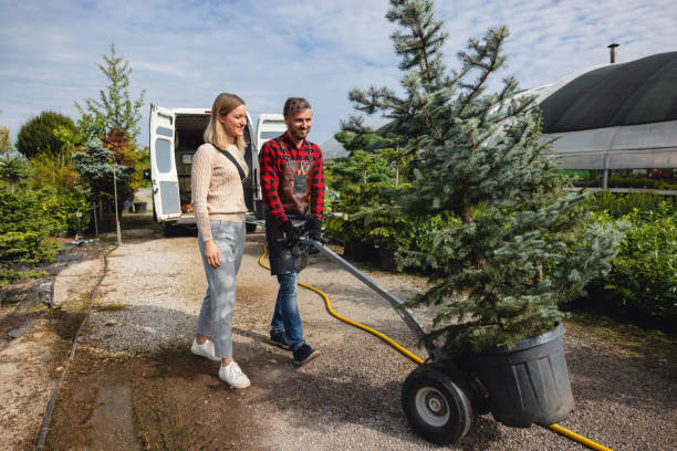 Tree Service Company in Panama City Beach, FL